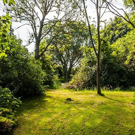 Hotel, Restaurant, Café Pharisäerhof - Nordseeurlaub Mit Hund Hotel