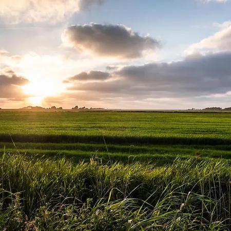 Hotel, Restaurant, Cafe Pharisaeerhof - Nordseeurlaub Mit Hund ノルトシュトラント