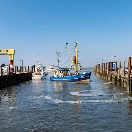 Hotel, Restaurant, Cafe Pharisaeerhof - Nordseeurlaub Mit Hund 3*