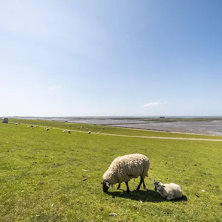 Hotel, Restaurant, Cafe Pharisaeerhof - Nordseeurlaub Mit Hund ホテル