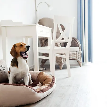 Hotel, Restaurant, Cafe Pharisaeerhof - Nordseeurlaub Mit Hund ノルトシュトラント