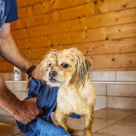 Hotel Pharisäerhof - DAS Hundehotel auf Nordstrand mit Restaurant und Café 3*
