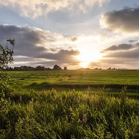 Hotel Hotel, Restaurant, Café Pharisäerhof - Nordseeurlaub Mit Hund Nordstrand