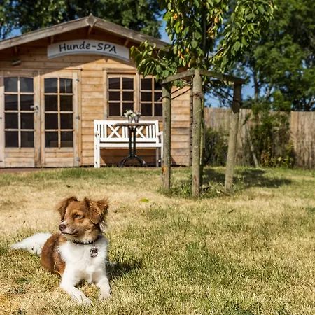 Hotel, Restaurant, Cafe Pharisaeerhof - Nordseeurlaub Mit Hund ノルトシュトラント