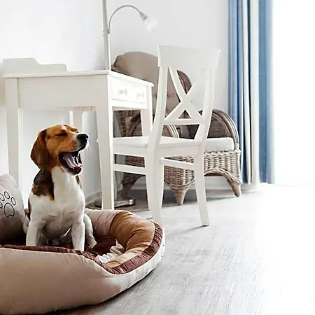 Pharisäerhof - Hundehotel Auf Mit Restaurant Und Café Nordstrand