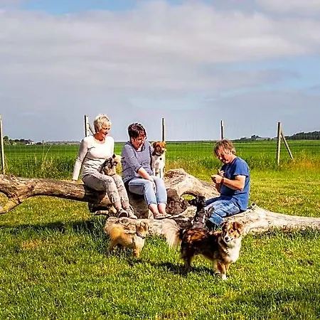 Pharisäerhof - Hundehotel Auf Mit Restaurant Und Café