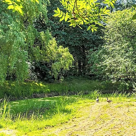 Pharisäerhof - Hundehotel Auf Mit Restaurant Und Café 3*
