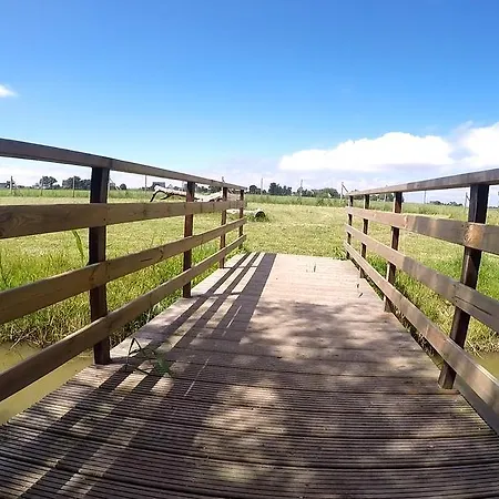 Hotel, Restaurant, Cafe Pharisaeerhof - Nordseeurlaub Mit Hund