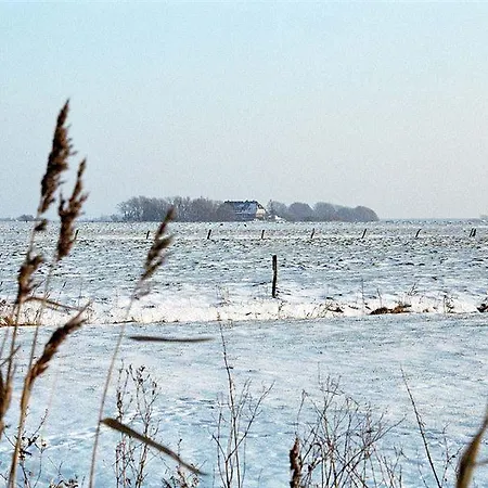 Hotel, Restaurant, Café Pharisäerhof - Nordseeurlaub Mit Hund Hotel Nordstrand