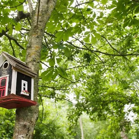 Hotel, Restaurant, Cafe Pharisaeerhof - Nordseeurlaub Mit Hund