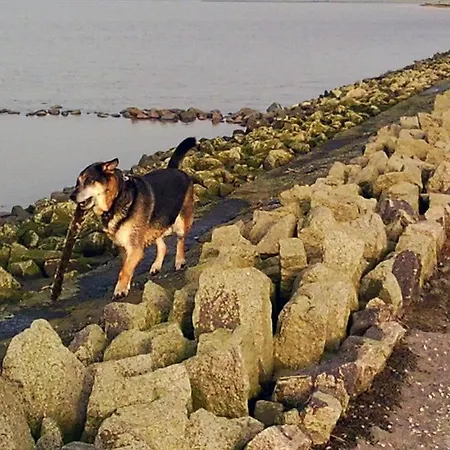 Hotel Hotel, Restaurant, Café Pharisäerhof - Nordseeurlaub Mit Hund 3*