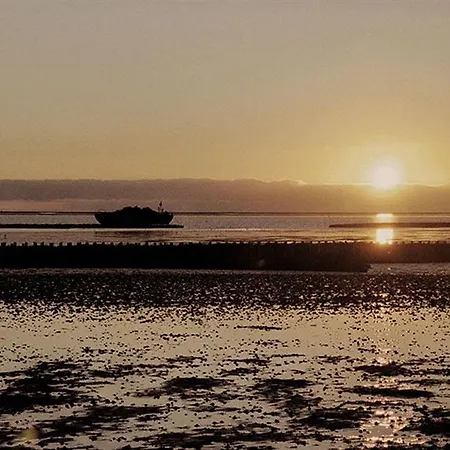 Hotel, Restaurant, Cafe Pharisaeerhof - Nordseeurlaub Mit Hund ホテル