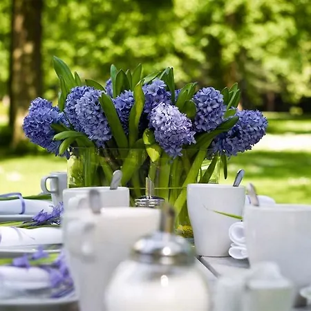 ホテル Hotel, Restaurant, Cafe Pharisaeerhof - Nordseeurlaub Mit Hund 3*