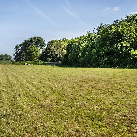 Hotel, Restaurant, Cafe Pharisaeerhof - Nordseeurlaub Mit Hund ノルトシュトラント