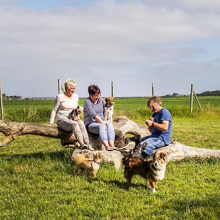Hotel, Restaurant, Cafe Pharisaeerhof - Nordseeurlaub Mit Hund ノルトシュトラント