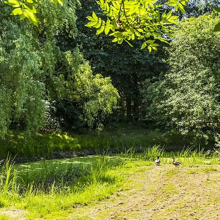 Hotel, Restaurant, Café Pharisäerhof - Nordseeurlaub Mit Hund 3*