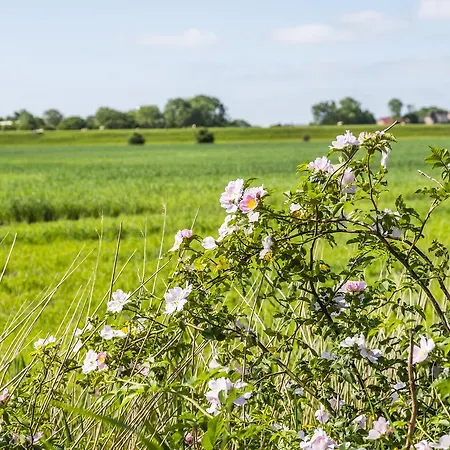 Hotel, Restaurant, Café Pharisäerhof - Nordseeurlaub Mit Hund