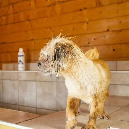 Hotel Pharisäerhof - Hundehotel Auf Mit Restaurant Und Café Nordstrand