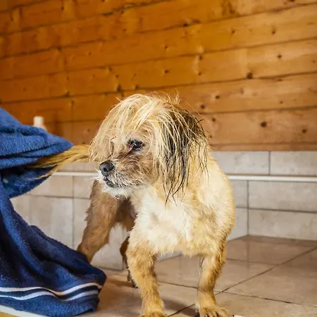 Pharisaeerhof - Hundehotel Auf Mit Restaurant Und Cafe 3*