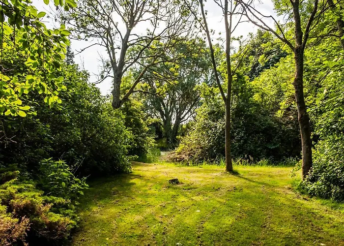 Hotel, Restaurant, Café Pharisäerhof - Nordseeurlaub Mit Hund Hotel