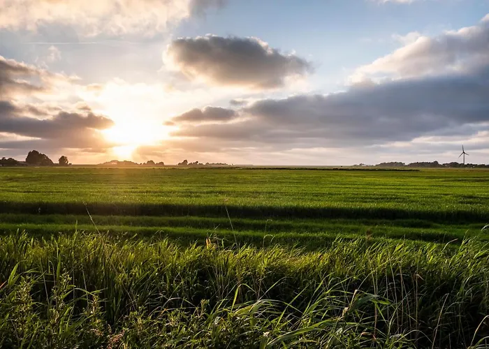 Hotel, Restaurant, Café Pharisäerhof - Nordseeurlaub Mit Hund Nordstrand