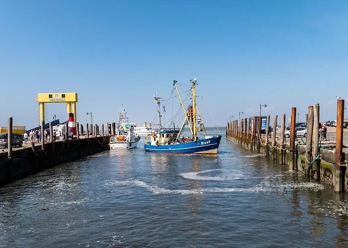 Hotel, Restaurant, Café Pharisäerhof - Nordseeurlaub Mit Hund 3*