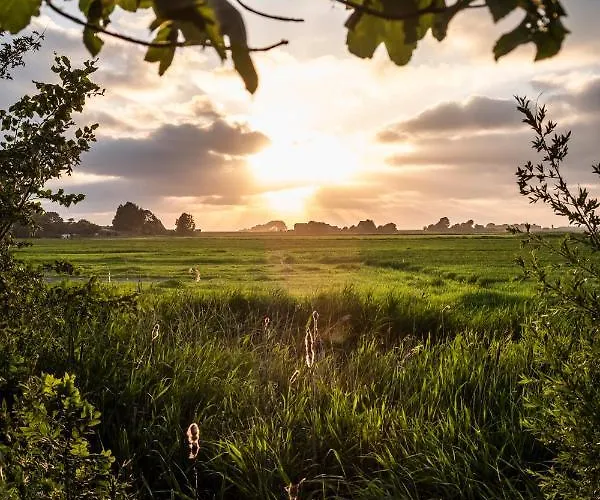 Hotel, Restaurant, Café Pharisäerhof - Nordseeurlaub Mit Hund 3* Nordstrand