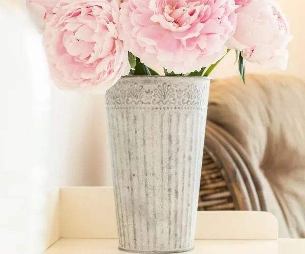 Hotel, Restaurant, Café Pharisäerhof - Nordseeurlaub Mit Hund Hotel 3*