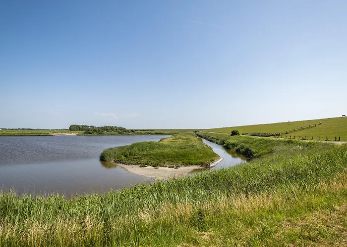 Hotel Hotel, Restaurant, Café Pharisäerhof - Nordseeurlaub Mit Hund