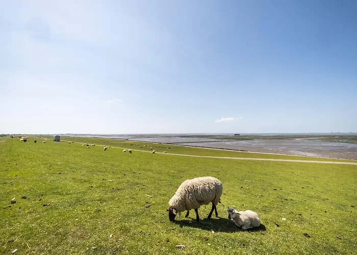 Hotel, Restaurant, Café Pharisäerhof - Nordseeurlaub Mit Hund Hotel