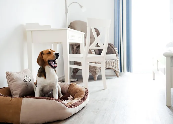 Hotel, Restaurant, Café Pharisäerhof - Nordseeurlaub Mit Hund Nordstrand