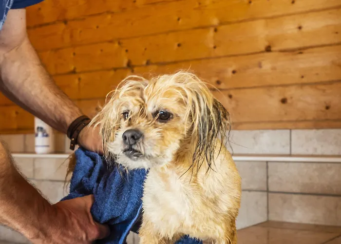 Hotel, Restaurant, Café Pharisäerhof - Nordseeurlaub Mit Hund 3*