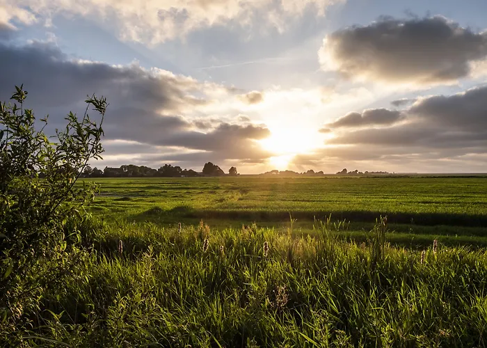 Hotel Hotel, Restaurant, Café Pharisäerhof - Nordseeurlaub Mit Hund Nordstrand