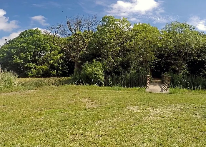 Hotel Hotel, Restaurant, Café Pharisäerhof - Nordseeurlaub Mit Hund 3*