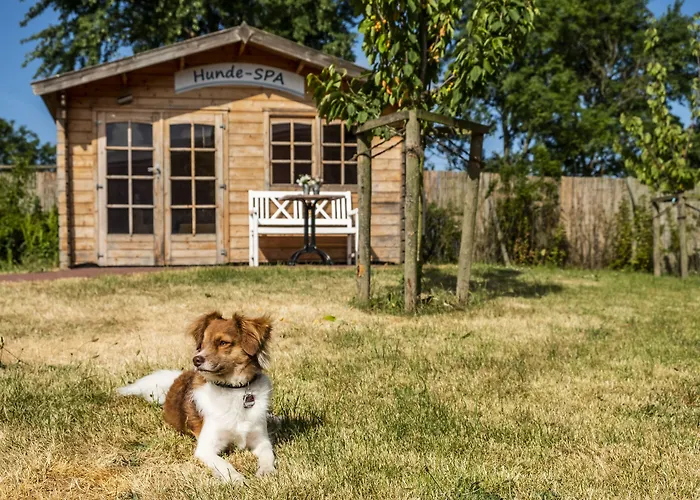 Hotel, Restaurant, Café Pharisäerhof - Nordseeurlaub Mit Hund Nordstrand