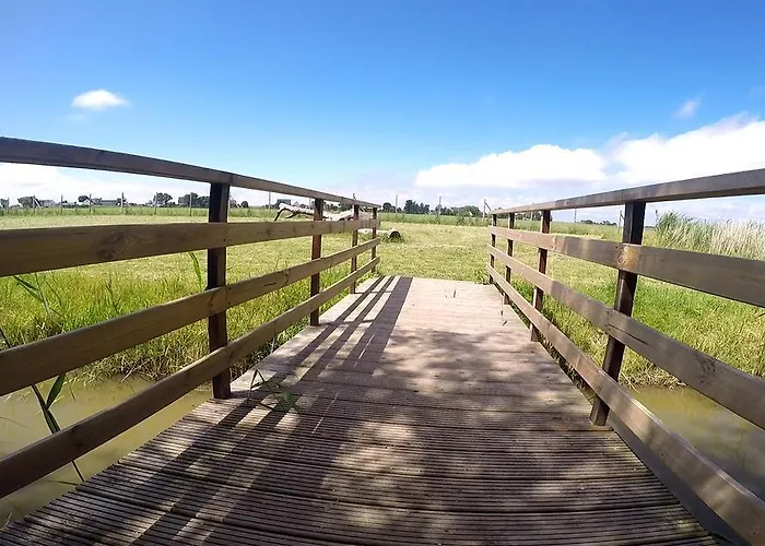 Hotel, Restaurant, Cafe Pharisaeerhof - Nordseeurlaub Mit Hund