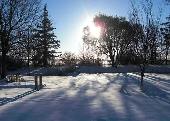 Hotel, Restaurant, Café Pharisäerhof - Nordseeurlaub Mit Hund 3* Nordstrand