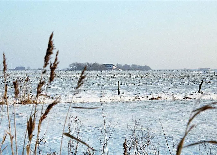 Hotel, Restaurant, Cafe Pharisaeerhof - Nordseeurlaub Mit Hund Hotel Nordstrand