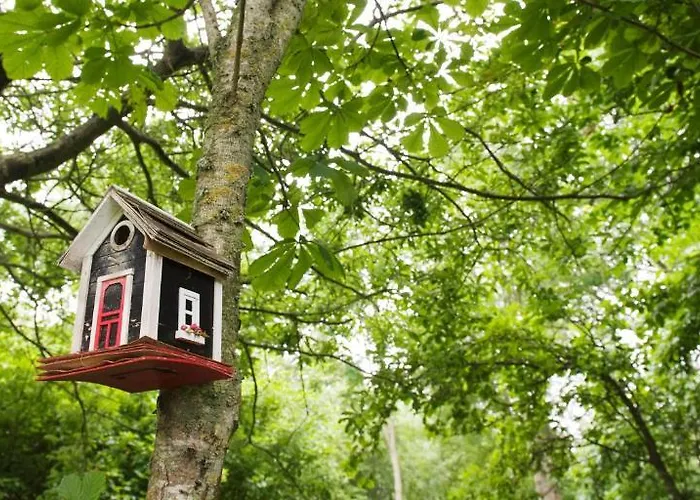 Hotel, Restaurant, Cafe Pharisaeerhof - Nordseeurlaub Mit Hund