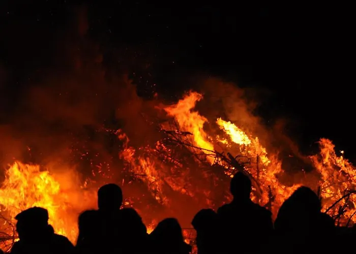 Hotel, Restaurant, Cafe Pharisaeerhof - Nordseeurlaub Mit Hund Nordstrand