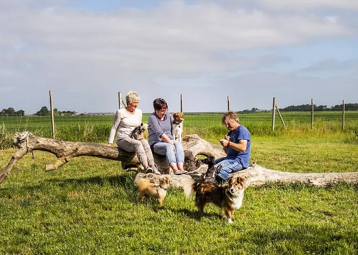 Hotel, Restaurant, Cafe Pharisaeerhof - Nordseeurlaub Mit Hund Nordstrand