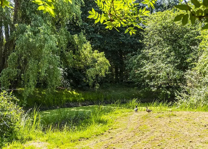 Hotel, Restaurant, Cafe Pharisaeerhof - Nordseeurlaub Mit Hund 3*