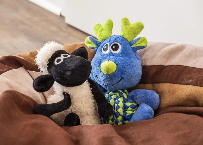 Hotel, Restaurant, Cafe Pharisaeerhof - Nordseeurlaub Mit Hund 3* 北滩岛