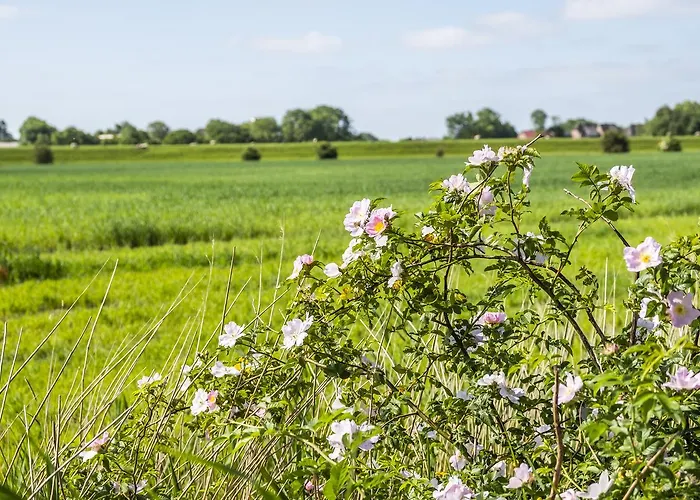 Hotel, Restaurant, Café Pharisäerhof - Nordseeurlaub Mit Hund