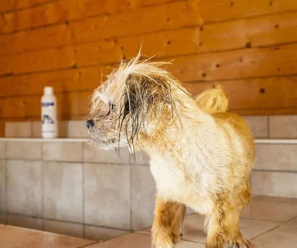 Hotel Hotel, Restaurant, Café Pharisäerhof - Nordseeurlaub Mit Hund Nordstrand