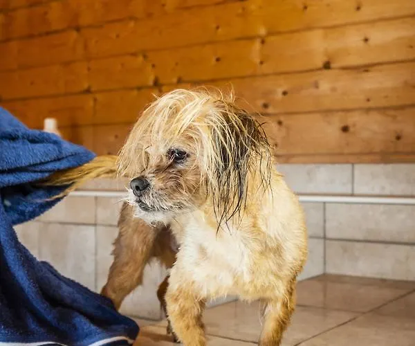 Hotel, Restaurant, Cafe Pharisaeerhof - Nordseeurlaub Mit Hund 3*